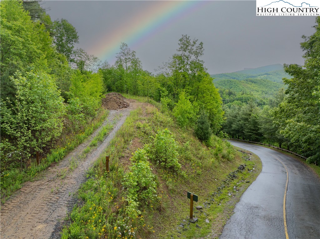 Lot 21 Silver Springs Drive Banner Elk, NC 28604 - Photo 8 of 12