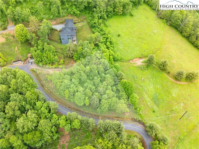 a view of a big yard with large trees