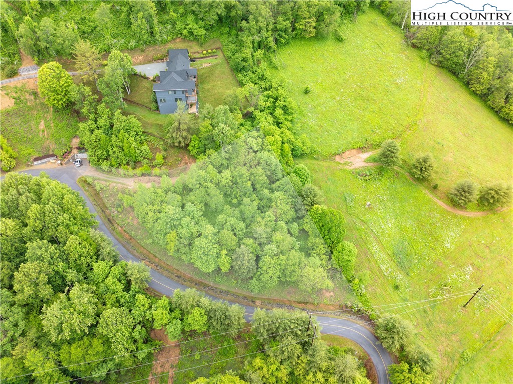 Lot 21 Silver Springs Drive Banner Elk, NC 28604 - Photo 10 of 12 a view of a garden