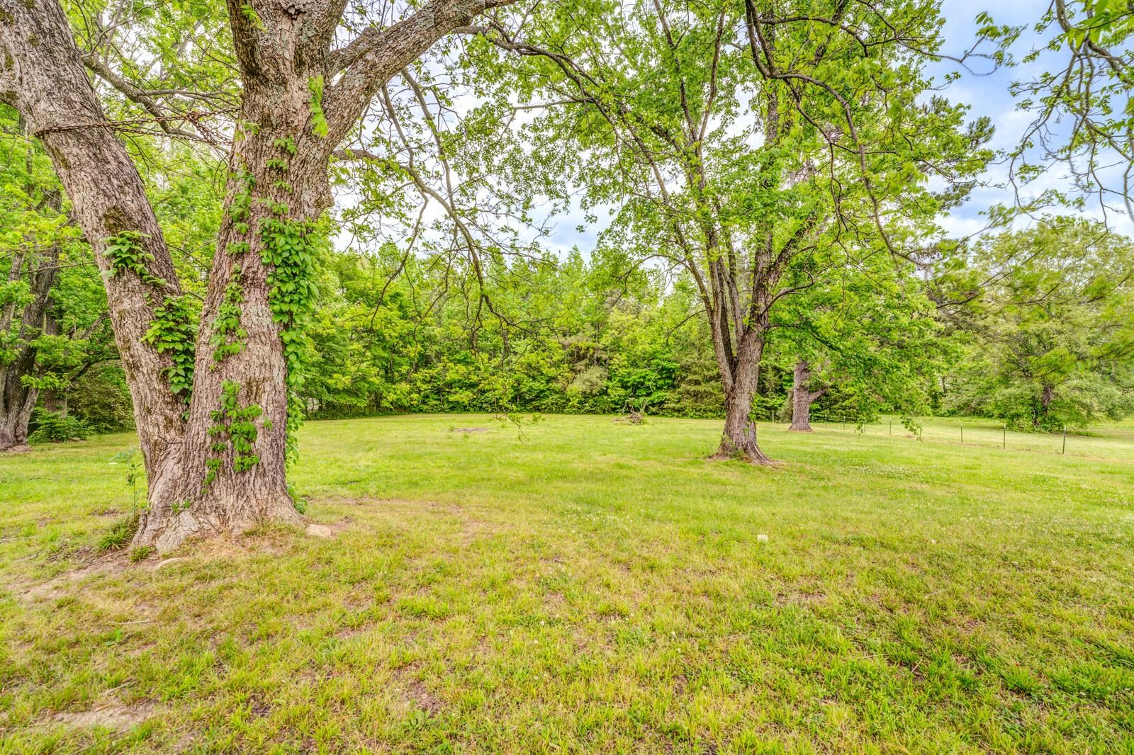 6125 Warren Road Oakland, TN 38060 - Photo 39 of 40 Expansive grassy area featuring mature trees and a backdrop of dense foliage