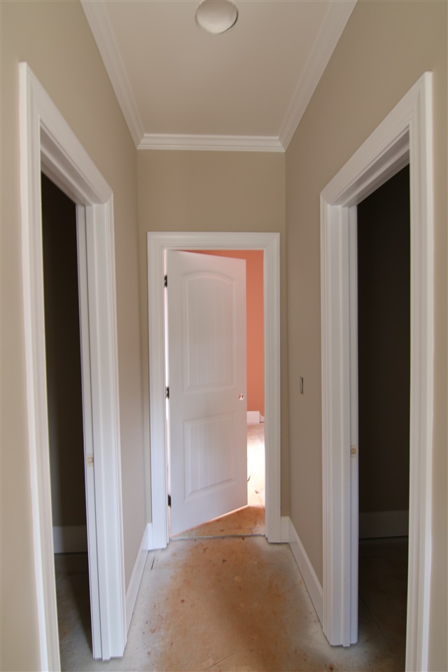 441 Risen Star Drive Boiling Springs, SC 29316 - Photo 7 of 13 Gallery Image 7