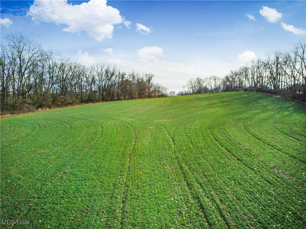 Carnation Road Nashport, OH 43830 - Photo 10 of 10