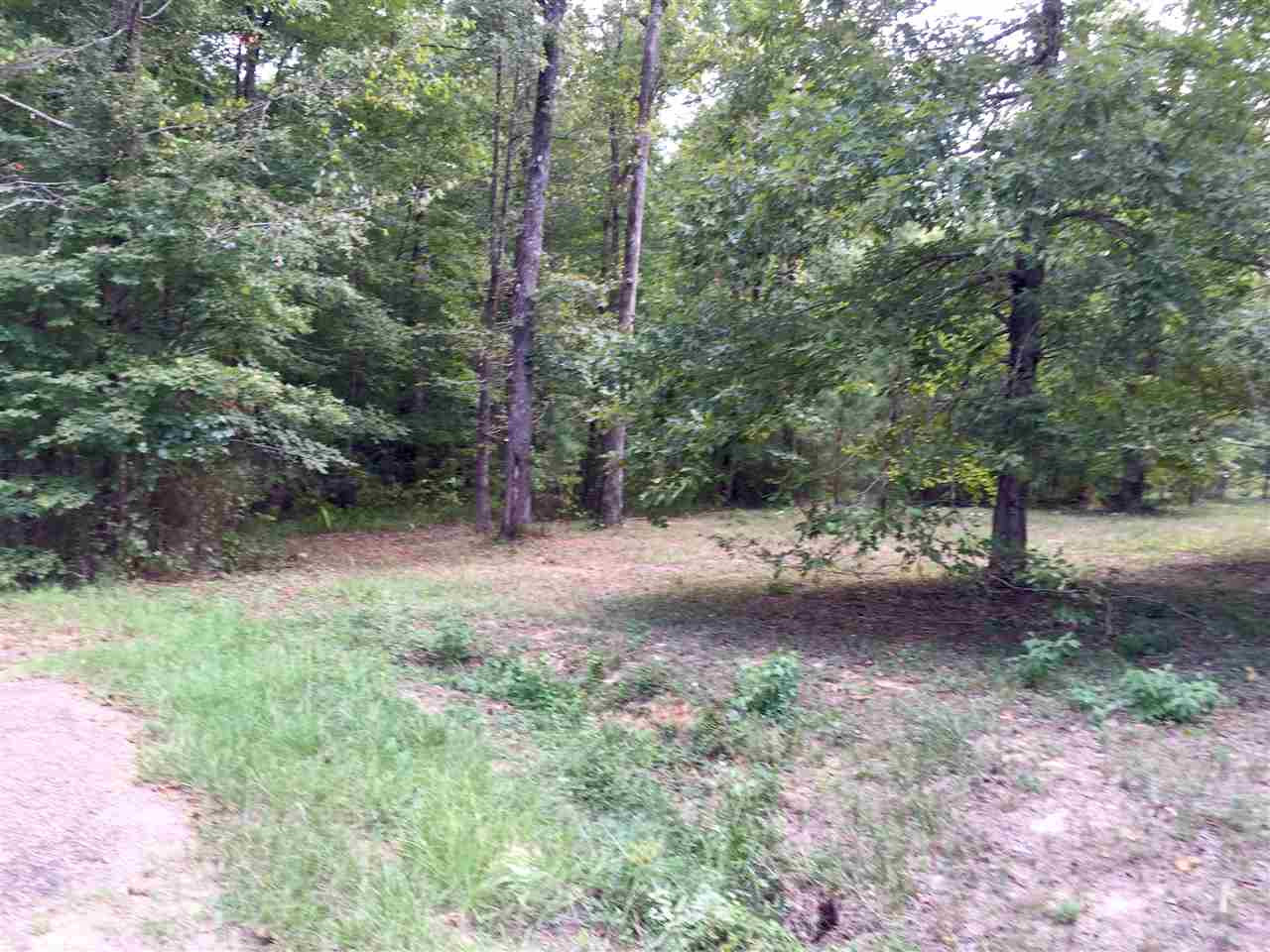 0 Wood Acres Road Pearl, MS 39208 - Photo 3 of 9 Photo 3