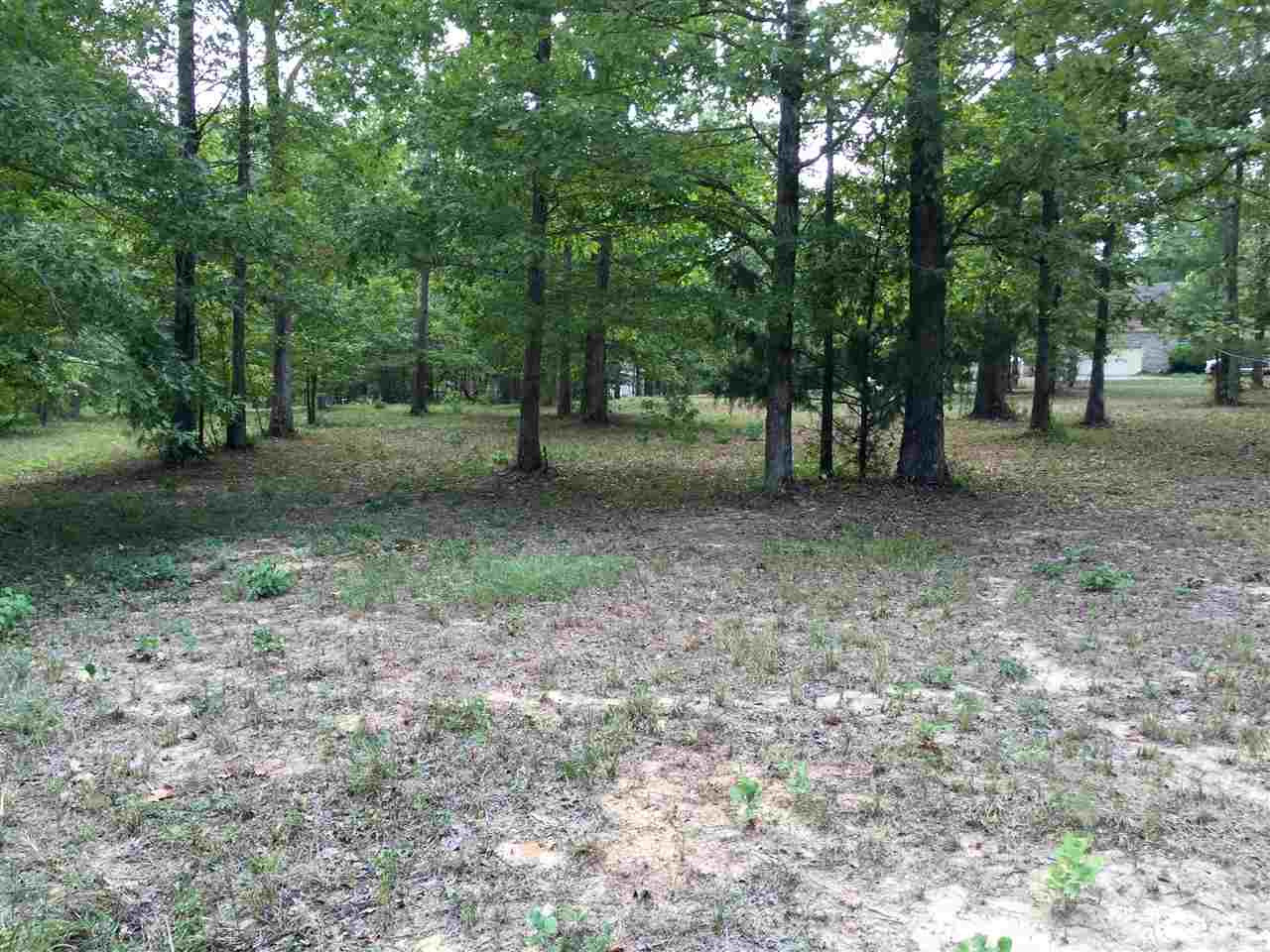 0 Wood Acres Road Pearl, MS 39208 - Photo 4 of 9 Photo 4