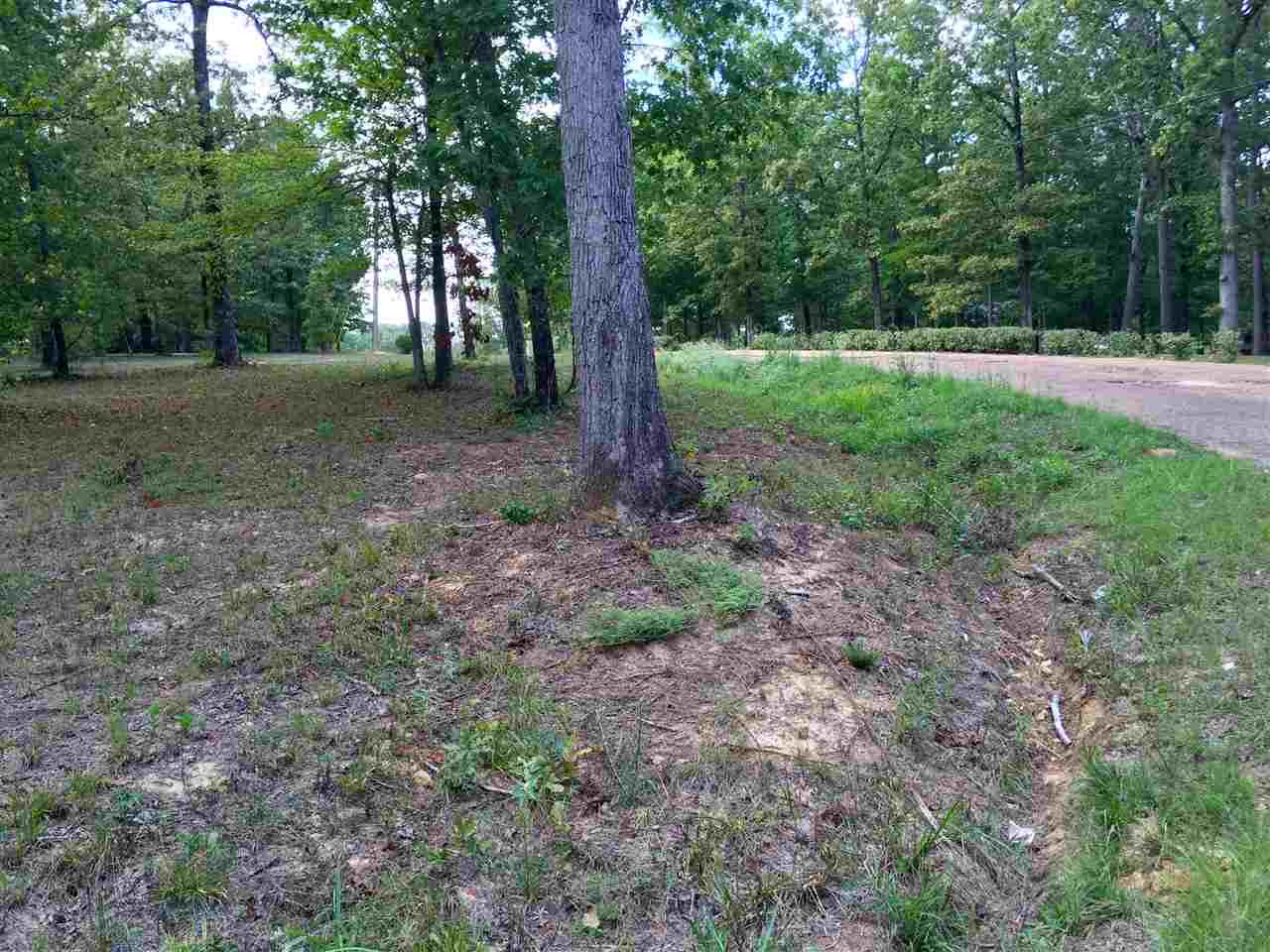 0 Wood Acres Road Pearl, MS 39208 - Photo 5 of 9 Photo 5