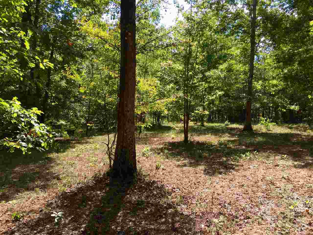 0 Wood Acres Road Pearl, MS 39208 - Photo 8 of 9 Photo 8