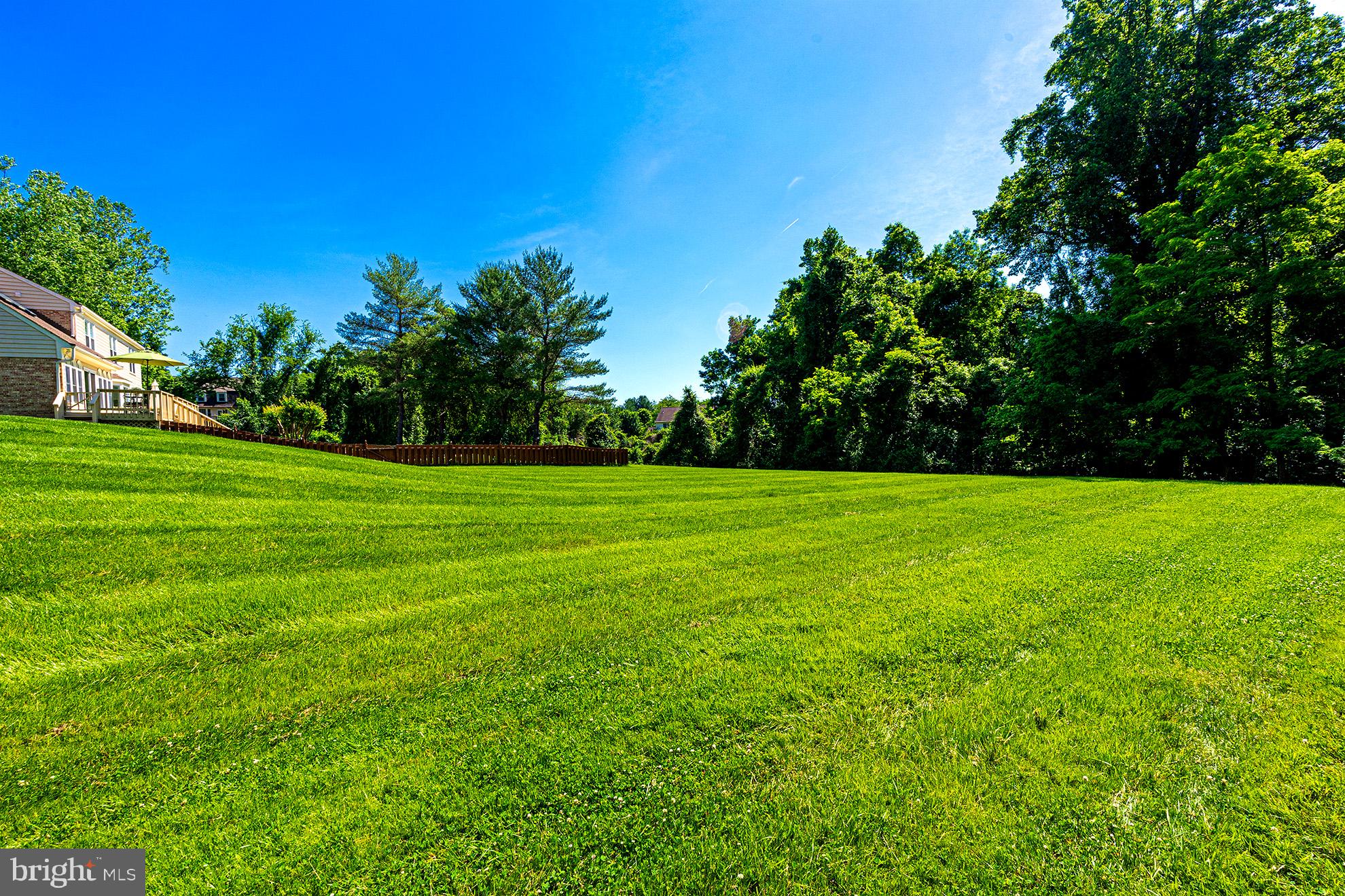 10000 Cloverdale Place Vienna, VA 22182 - Photo 58 of 59