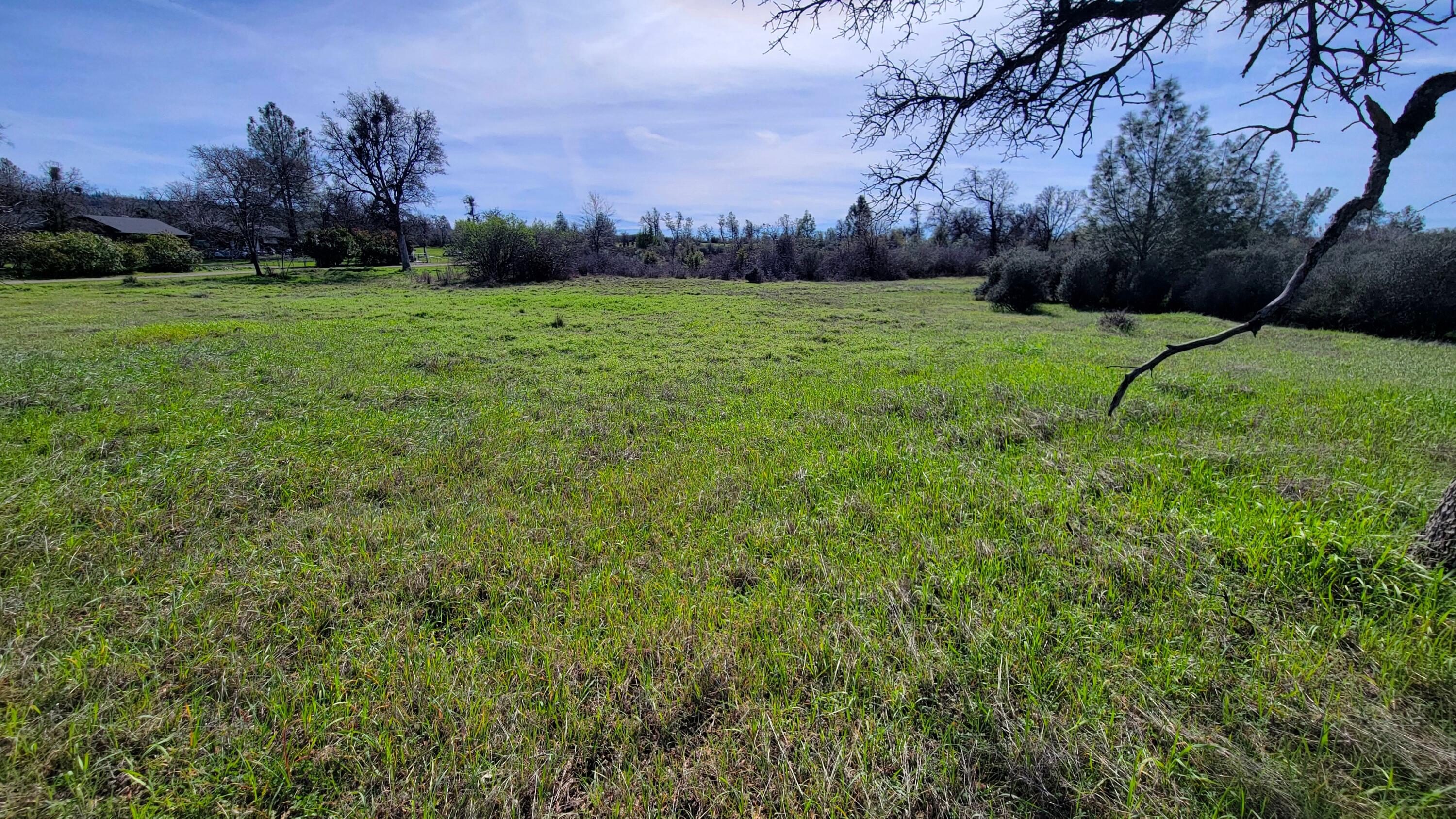 0 Rock Creek Road Manton, CA 96059 - Photo 2 of 13 a view of a field with a tree in the background