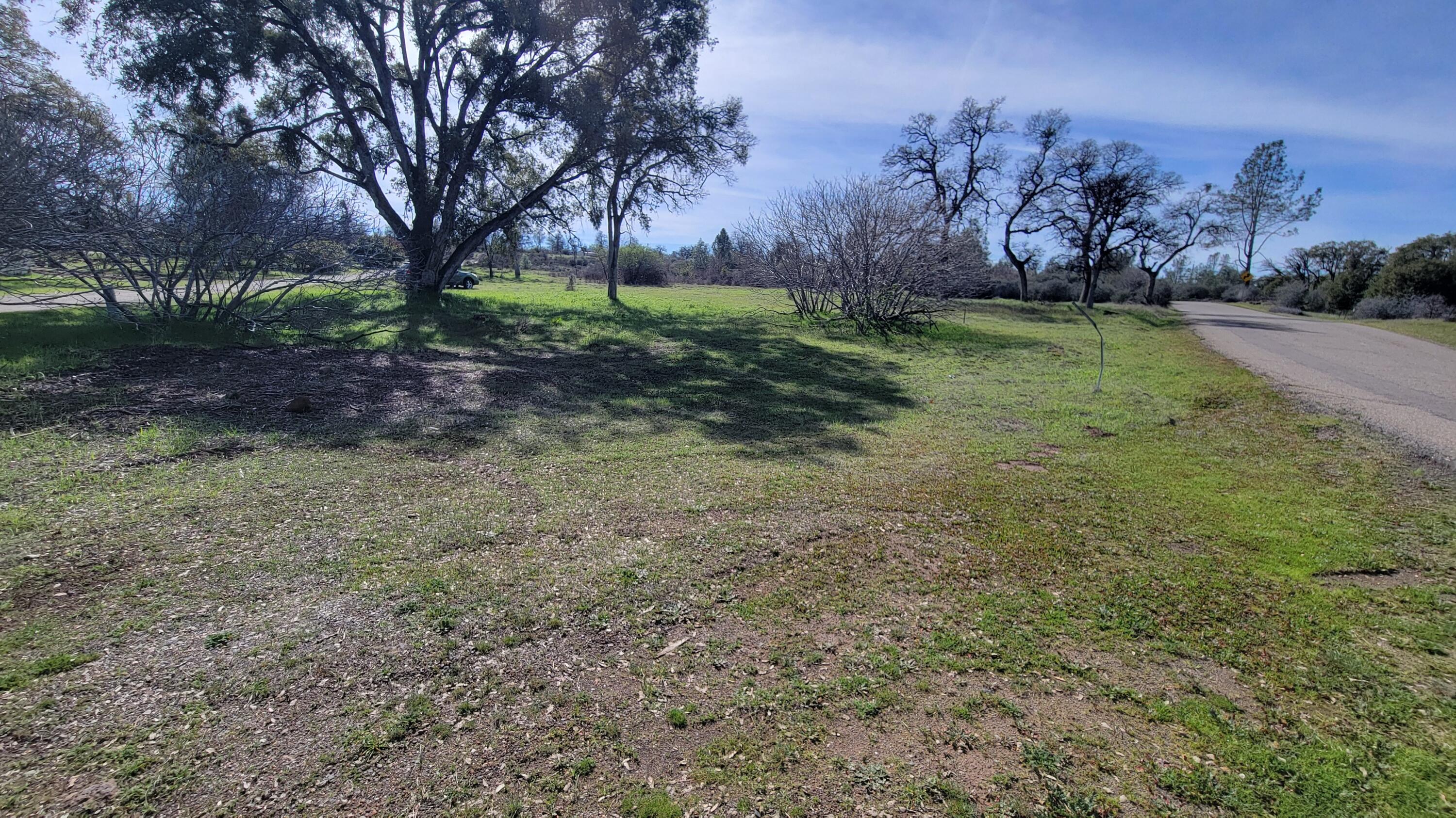 0 Rock Creek Road Manton, CA 96059 - Photo 3 of 13 a view of a backyard with large trees