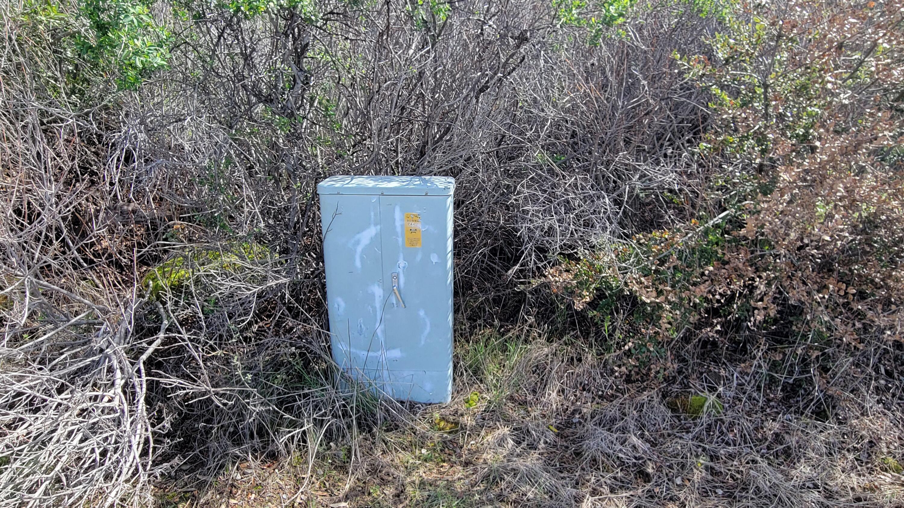 0 Rock Creek Road Manton, CA 96059 - Photo 7 of 13 a view of a tree in a yard