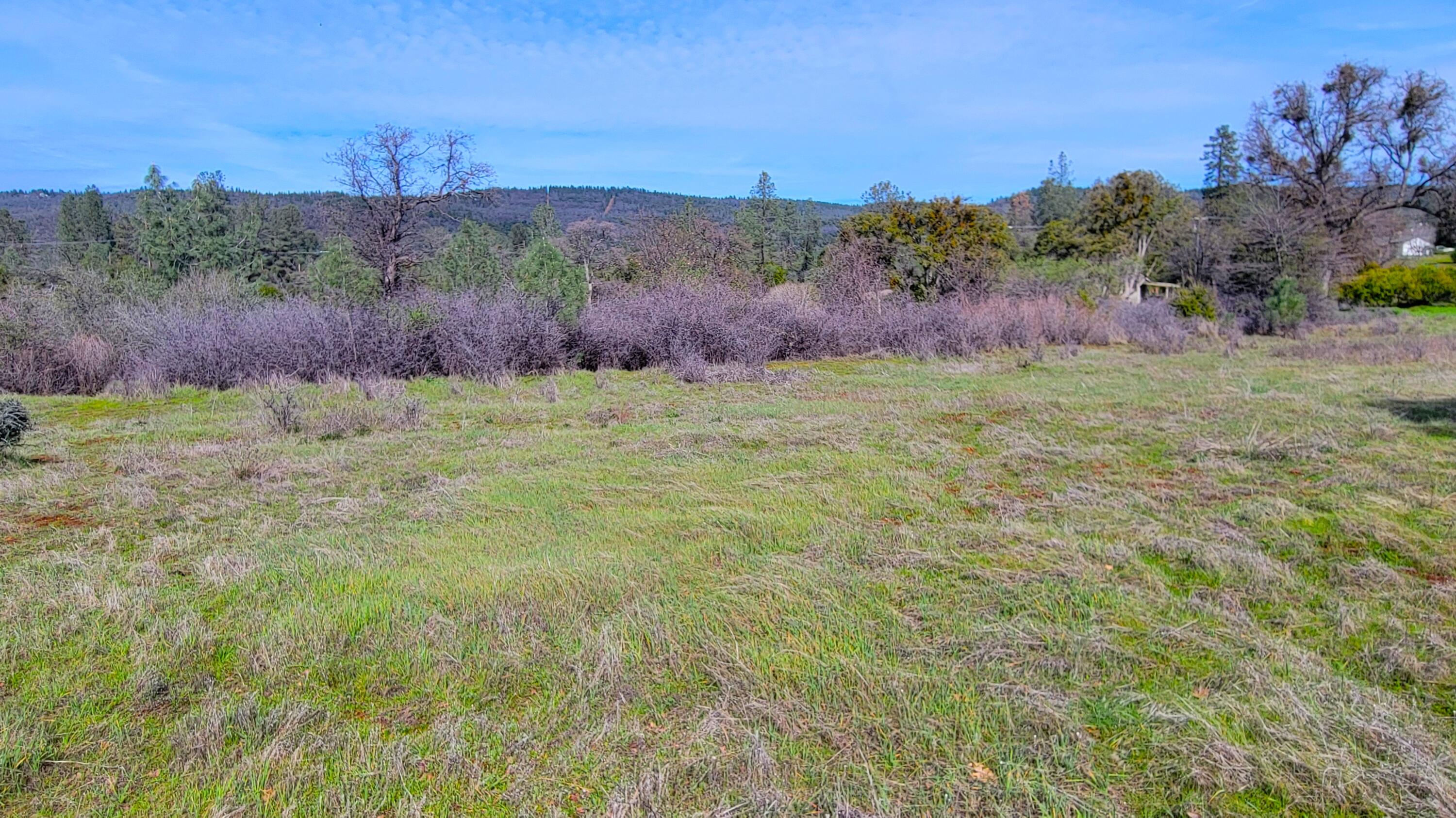 0 Rock Creek Road Manton, CA 96059 - Photo 8 of 13 a view of a yard with an outdoor space