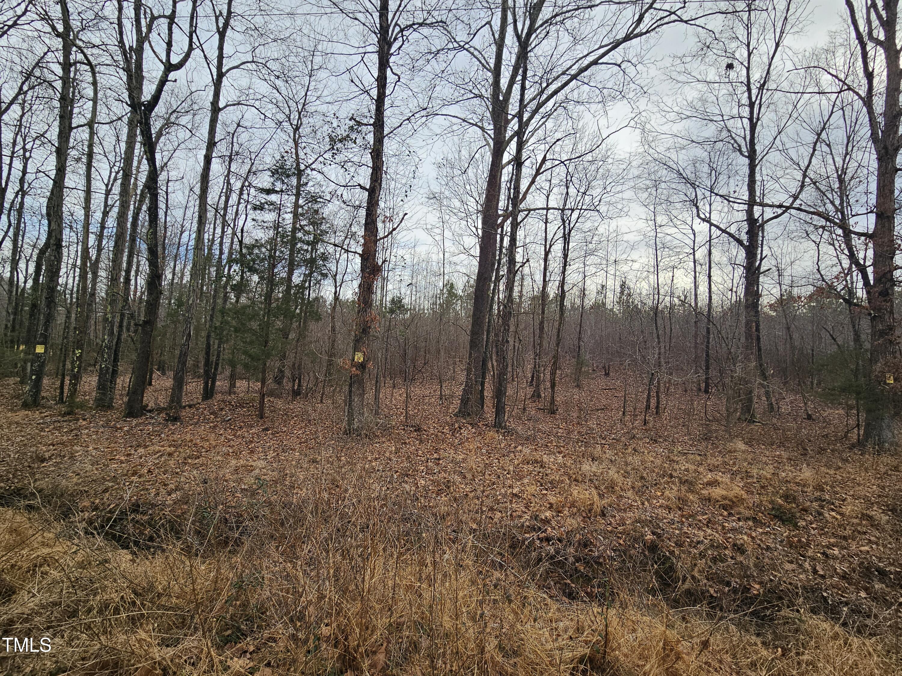 0 Charlie Stovall Road Oxford, NC 27565 - Photo 3 of 9 a view of outdoor space with trees