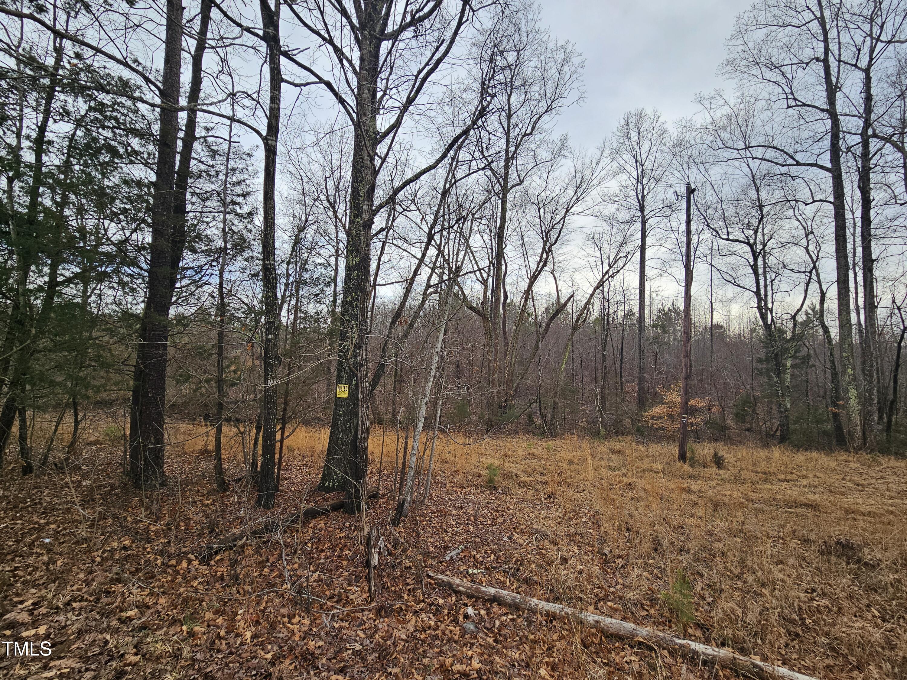 0 Charlie Stovall Road Oxford, NC 27565 - Photo 6 of 9 a backyard of a house with lots of green space
