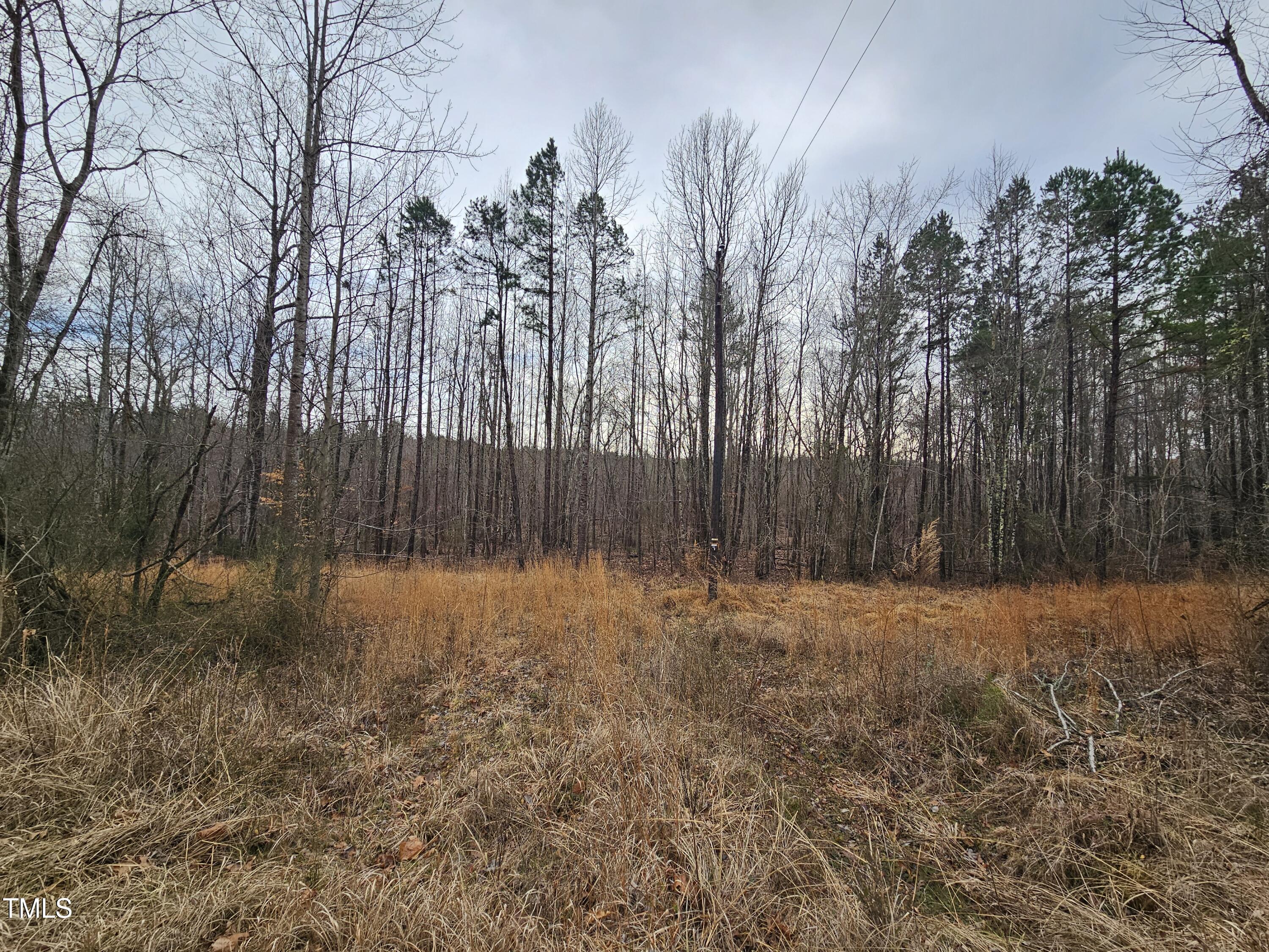 0 Charlie Stovall Road Oxford, NC 27565 - Photo 8 of 9 a backyard of a house with lots of green space