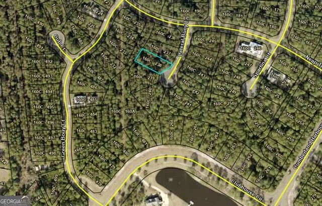 $30,000 | Lot 238 Lateral Buoy Lane, Kings Bay, GA 31558