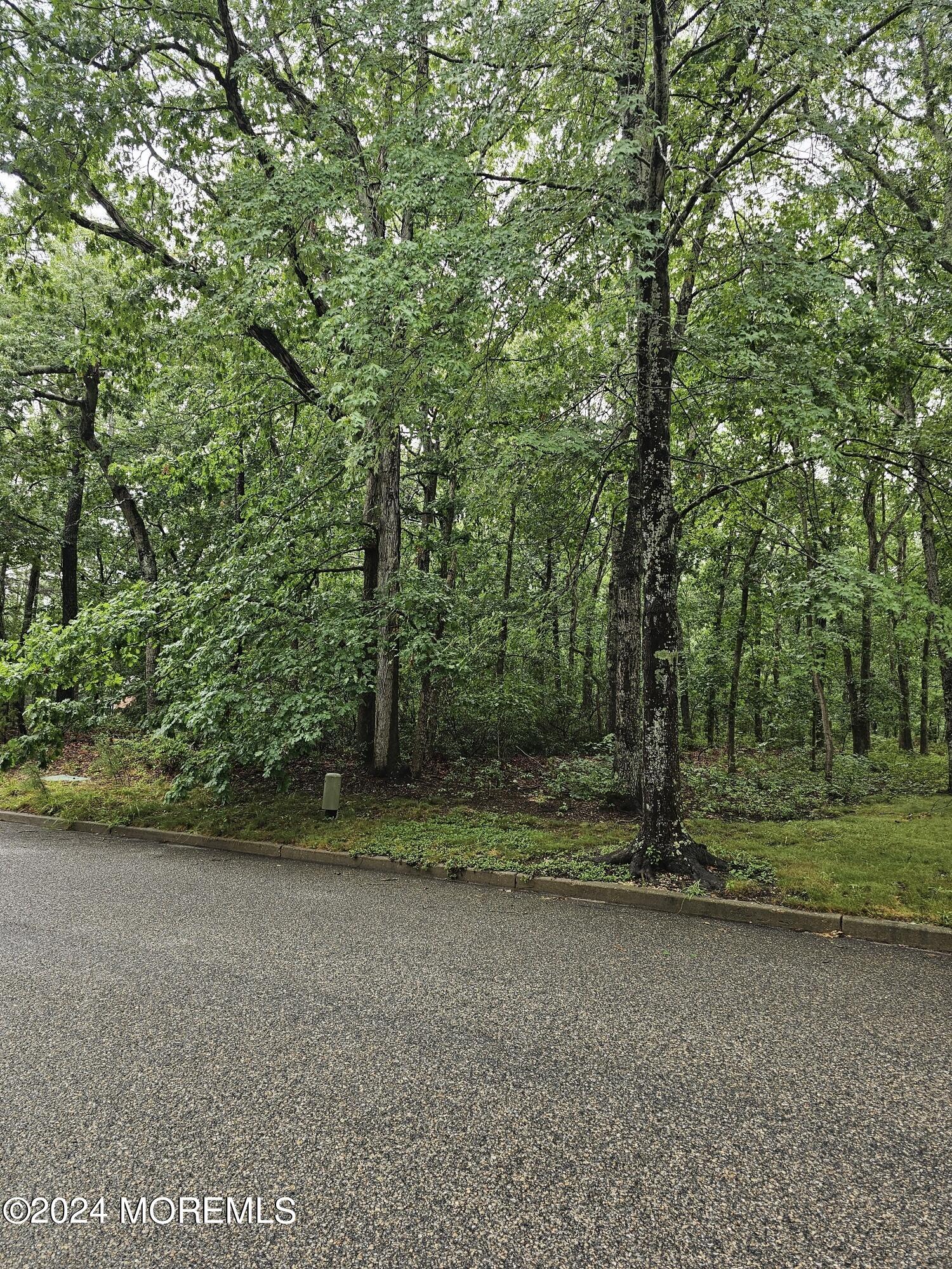 15 Ranch Boulevard Manahawkin, NJ 08050 - Photo 2 of 9 20240712_150110_resized