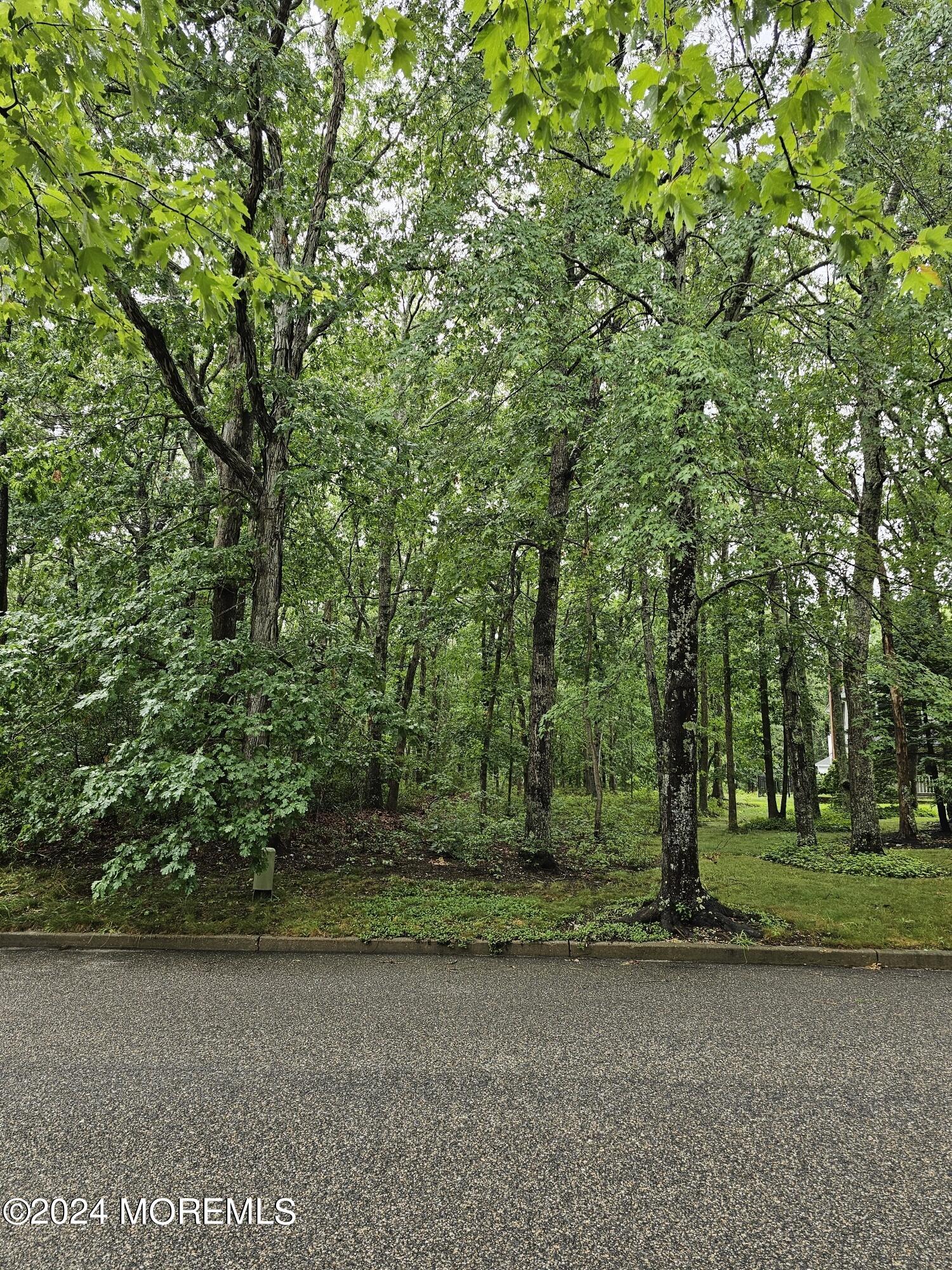 15 Ranch Boulevard Manahawkin, NJ 08050 - Photo 5 of 9 20240712_150137_resized
