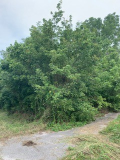 1891 Mack Benderman Road Culleoka, TN 38451 - Photo 3 of 3 Gallery Image 3