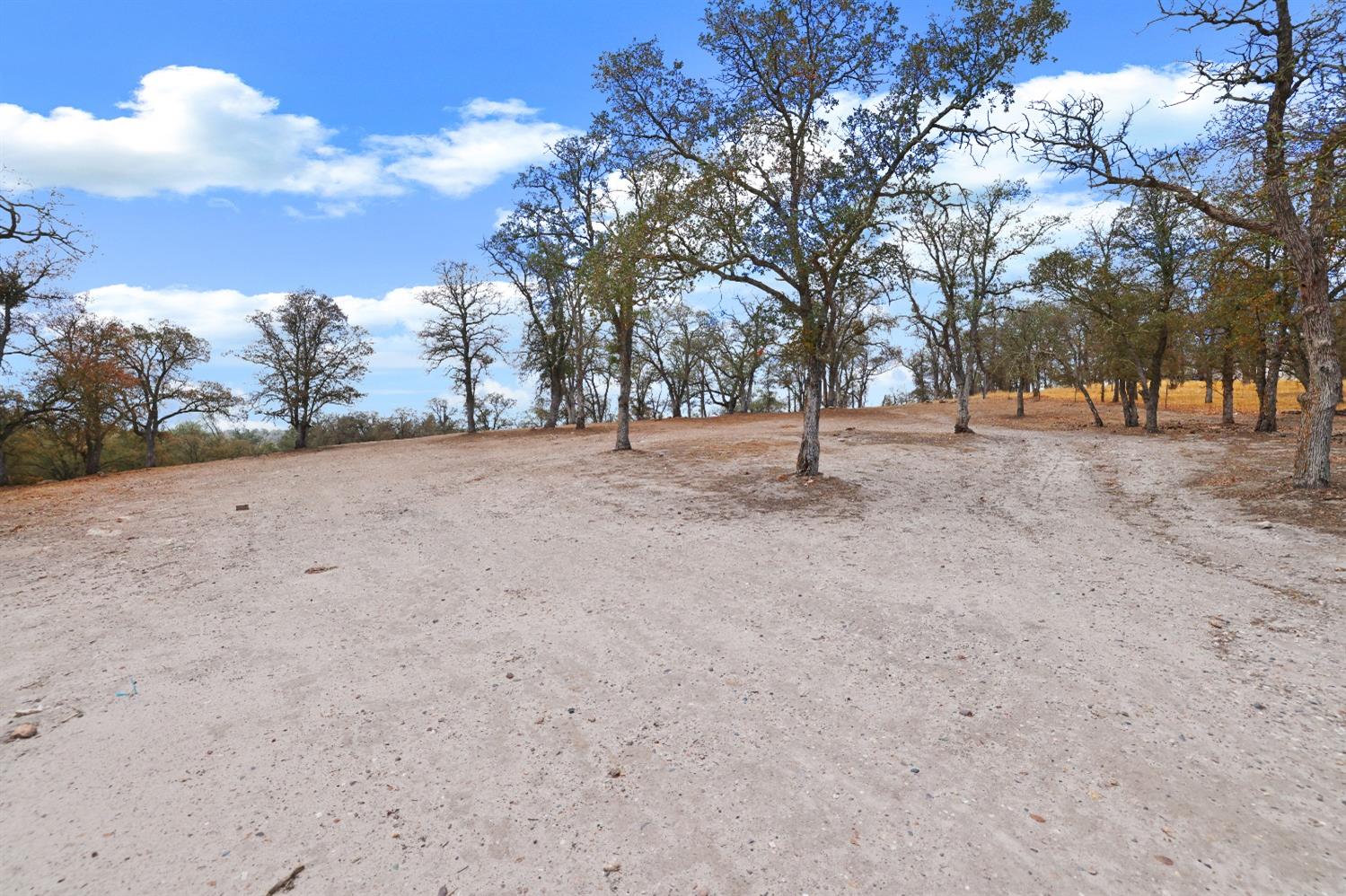12390 Pattison Road Burson, CA 95225 - Photo 11 of 48 Gallery Image 11