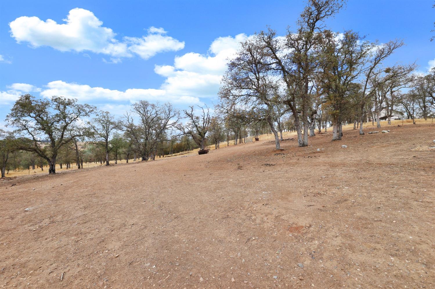 12390 Pattison Road Burson, CA 95225 - Photo 14 of 48 Gallery Image 14