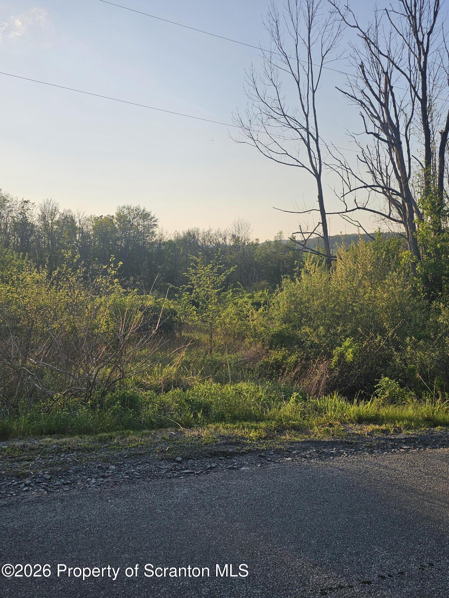 Callapoose Road Moscow, PA 18444 - Photo 4 of 5 a view of a yard