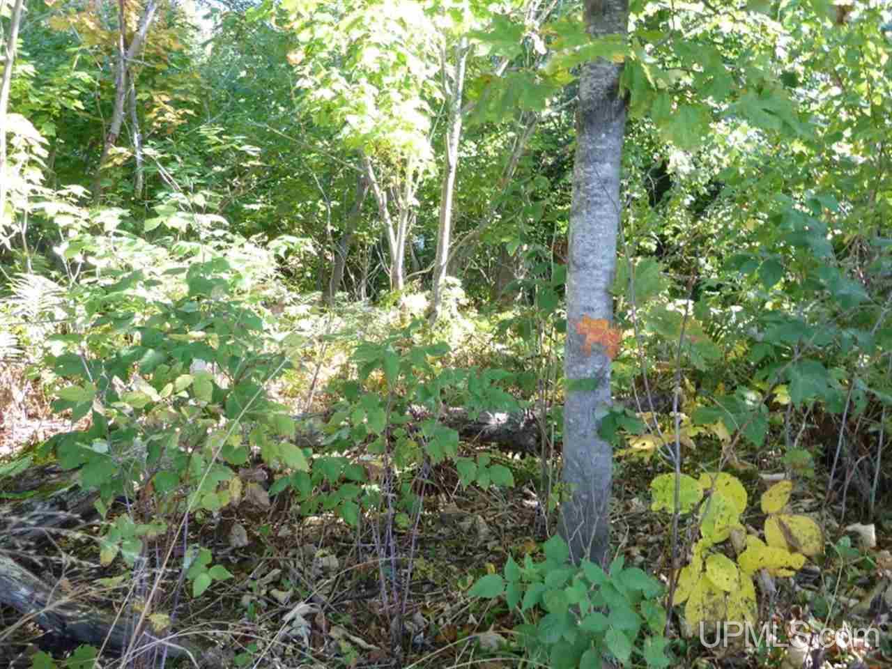 Tbd Tbd Off Puuri Road Atlantic Mine, MI 49905 - Photo 29 of 34