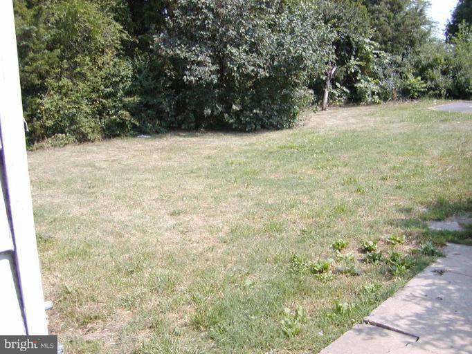2924 Papermill Road Winchester, VA 22601 - Photo 2 of 30 Back yard