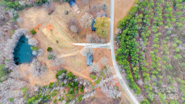 a picture of flowers