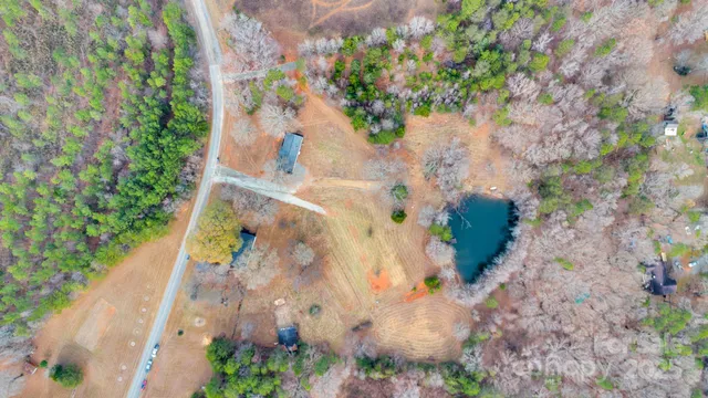 a view of a flower in a garden