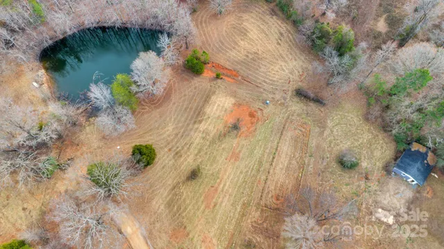 a vase of flowers with a garden