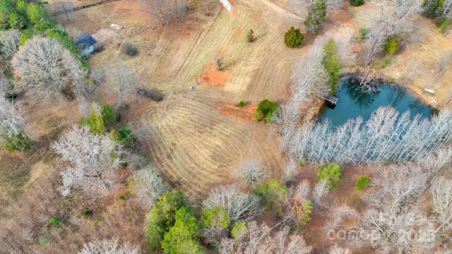 a close up of a flower in a garden