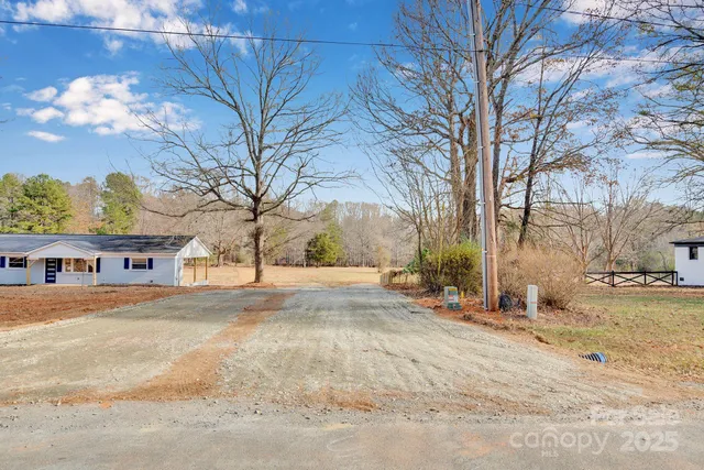 a street view with large trees