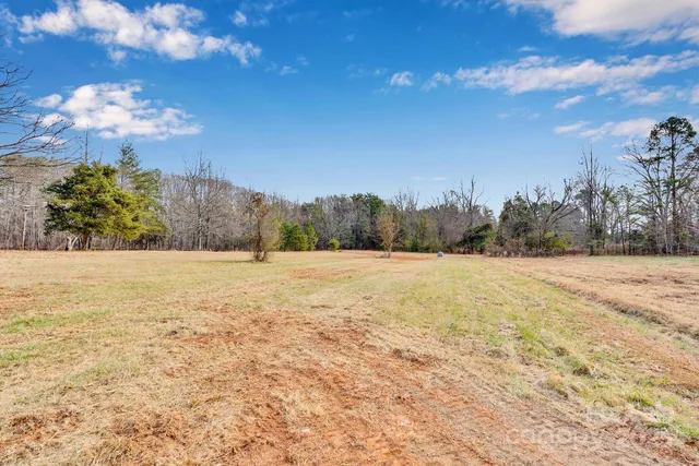 a view of yard with large trees