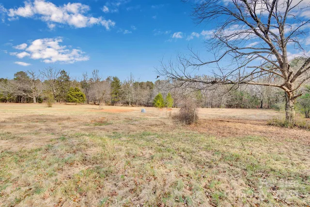 a view of dirt field with trees in the background