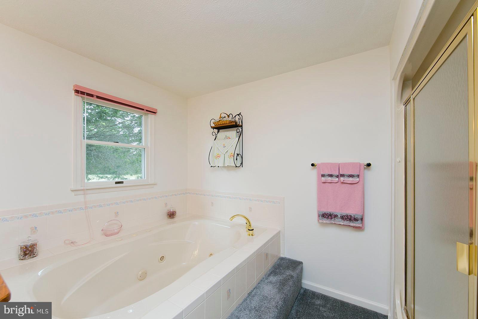 841 Guard Hill Road Middletown, VA 22645 - Photo 32 of 48 Master bathroom with jetted tub