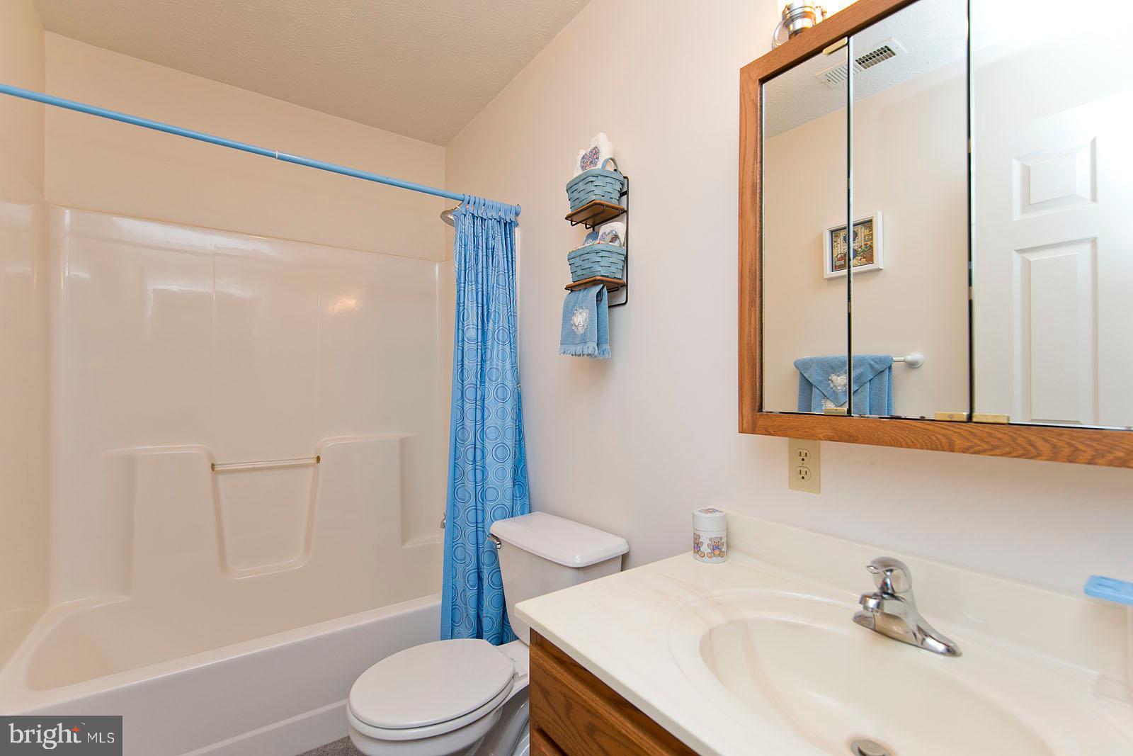 841 Guard Hill Road Middletown, VA 22645 - Photo 35 of 48 Full bath