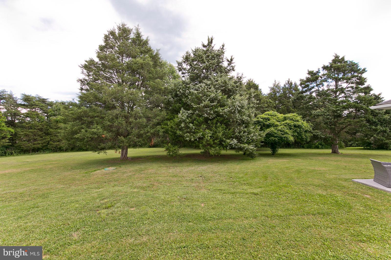 841 Guard Hill Road Middletown, VA 22645 - Photo 40 of 48 Mature trees surround the property