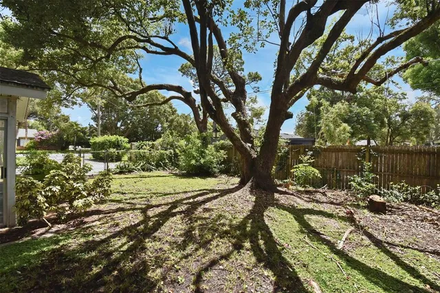 a view of a tree in a yard next to a house