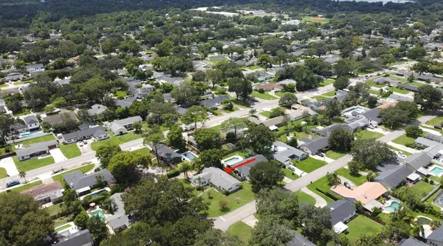 a kitchen with a sink dishwasher a stove top oven and potted plant