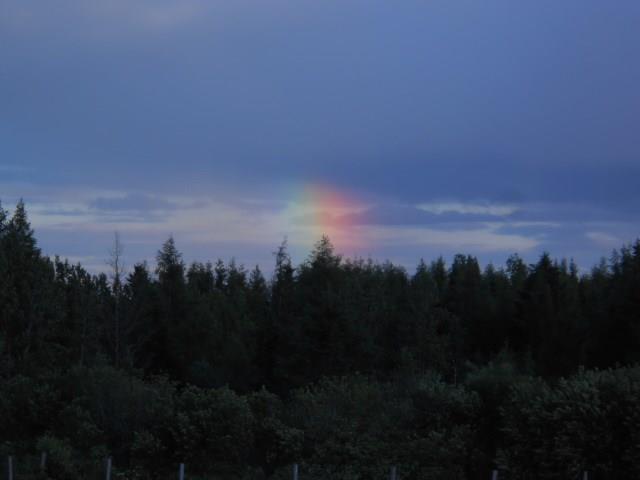 266 Belanger Road Caribou, ME 04736 - Photo 30 of 35 Your pot of gold awaits!