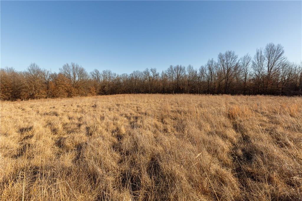 0 Southwest 700th Road Holden, MO 64040 - Photo 35 of 38