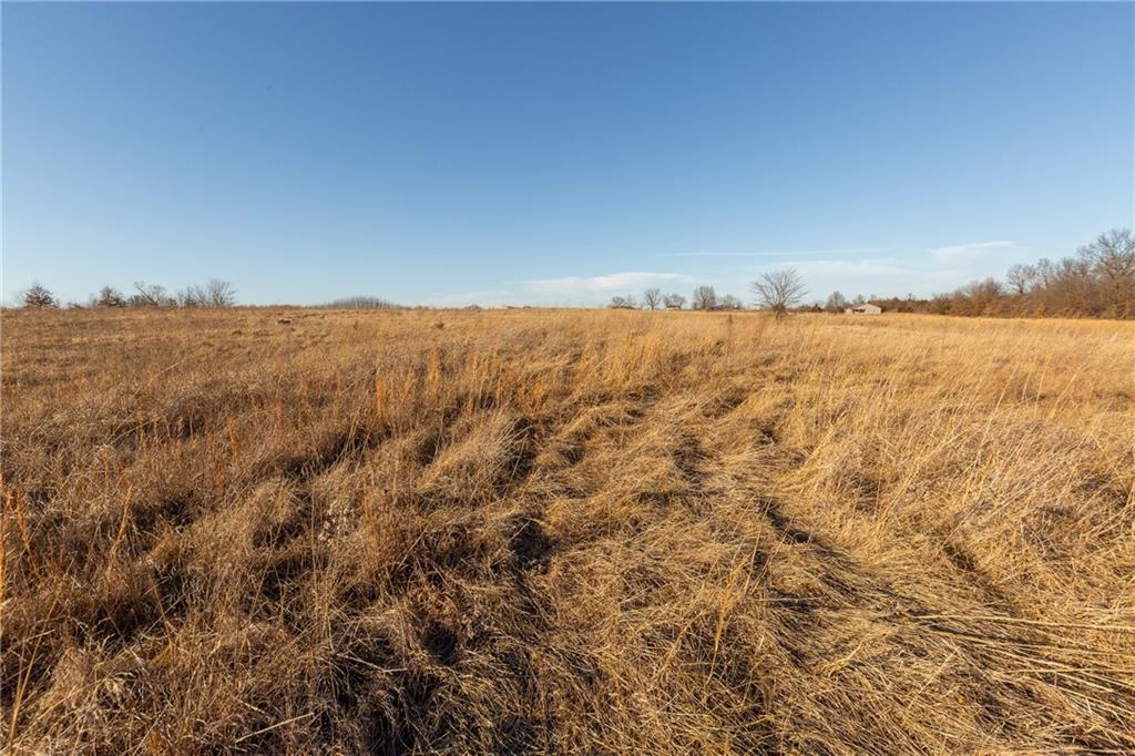 0 Southwest 700th Road Holden, MO 64040 - Photo 36 of 38