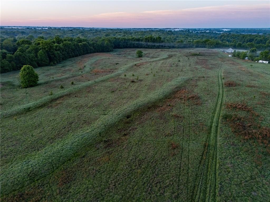 0 Southwest 700th Road Holden, MO 64040 - Photo 4 of 66