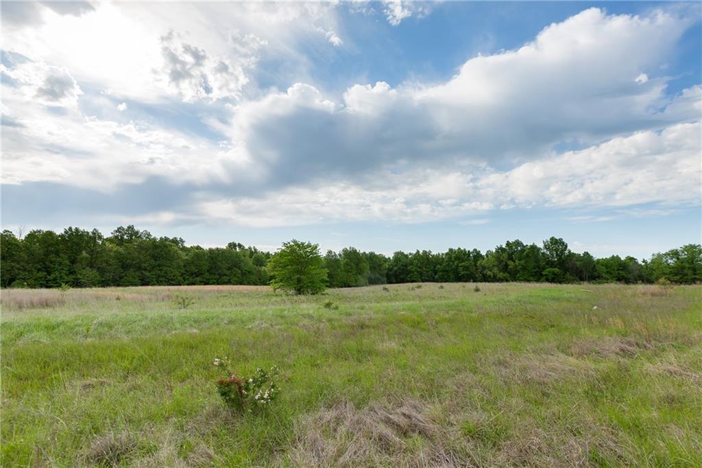 0 Southwest 700th Road Holden, MO 64040 - Photo 60 of 66
