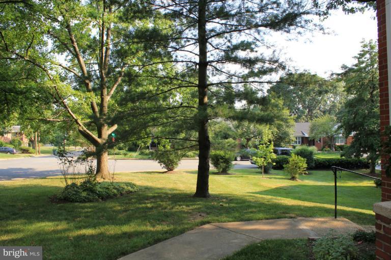 3102 Wellington Road, Unit 11331 Alexandria, VA 22302 - Photo 6 of 30 Front Door View Side Yard