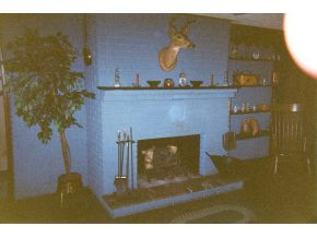 1401 Fairview Road Duffield, VA 24244 - Photo 3 of 11 Photo 3