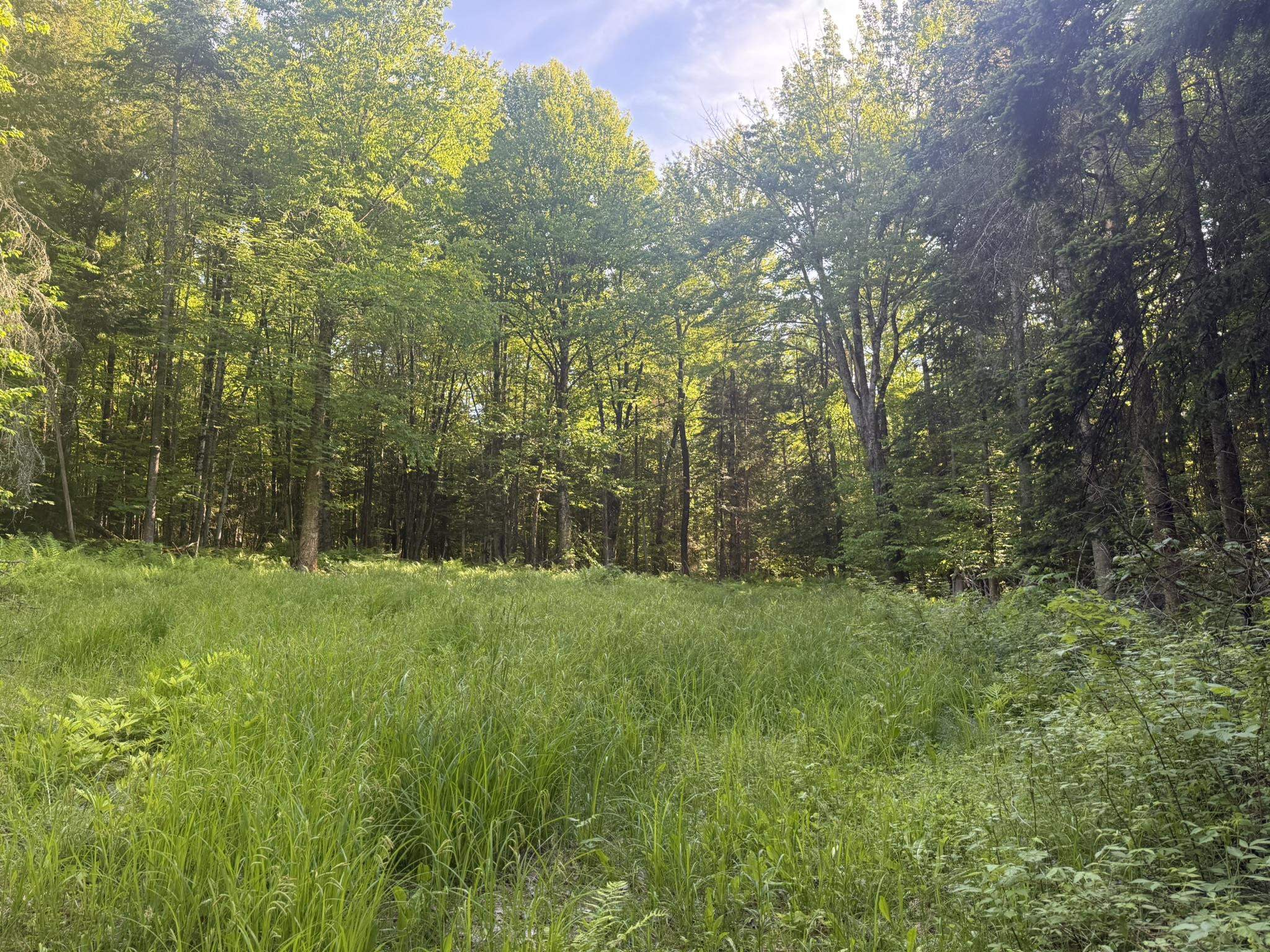 0 Roaring Brook Road Barton, VT 05822 - Photo 13 of 18
