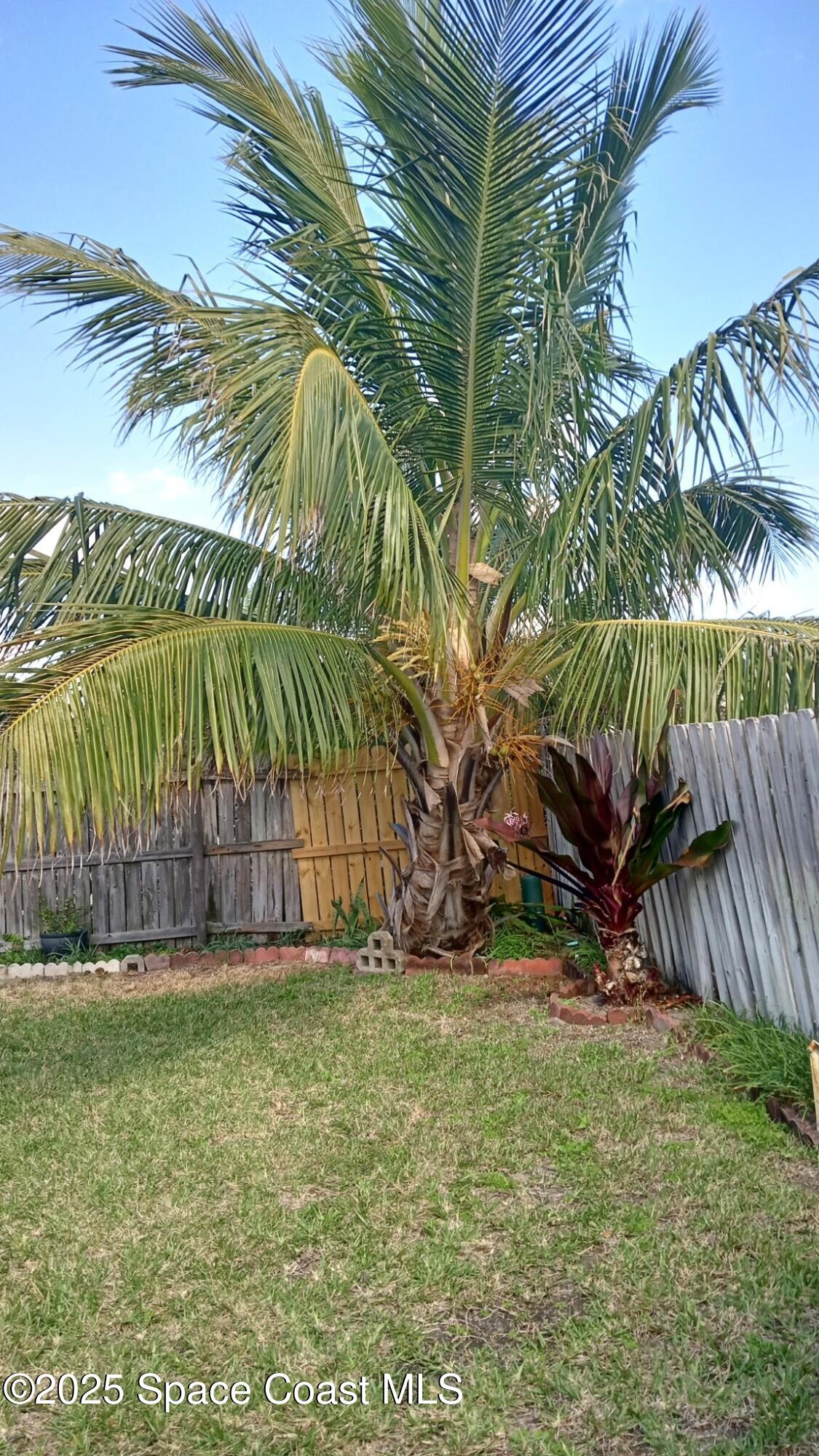176 Sand Dollar Road Indialantic, FL 32903 - Photo 9 of 15 .26 OF AN ACRE...FENCED!