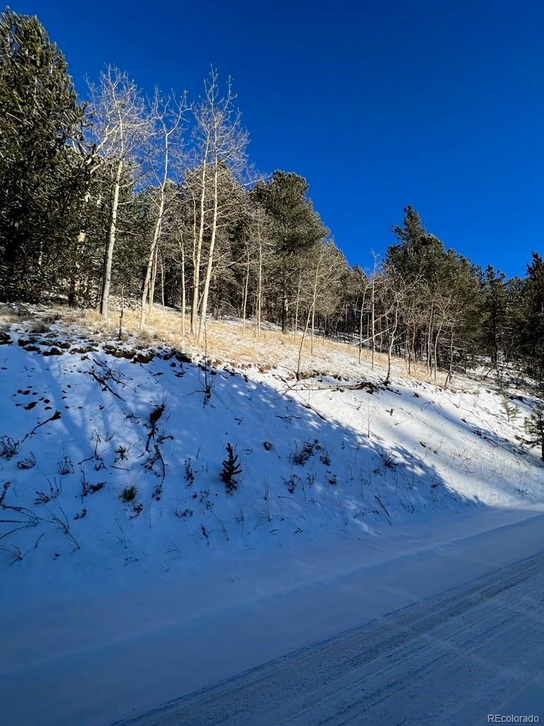 136-170 Valley Road Divide, CO 80814 - Photo 3 of 3 Gallery Image 3
