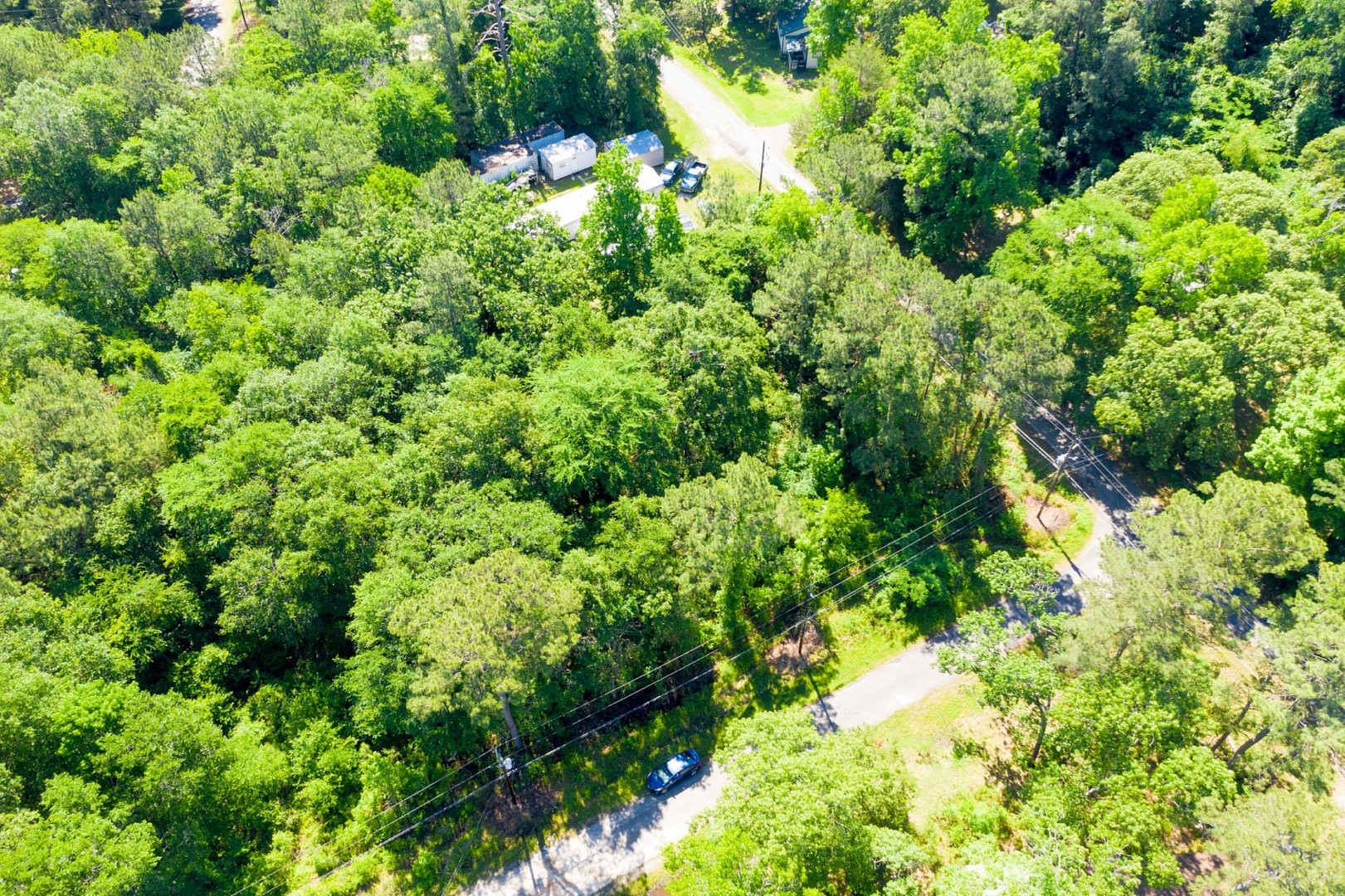 13-14 Hunters Drive Trinity, TX 75862 - Photo 12 of 27 a view of a forest with a tree